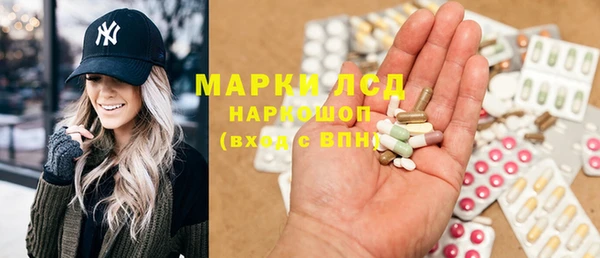 сатива Гусь-Хрустальный